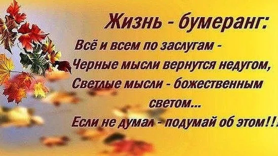Бумеранг